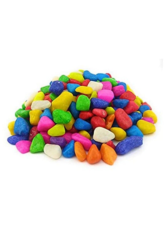 Somil Multicolor Pebbles/Stones for Garden, Plants, Lawns, Aquariums, Fish Pots, Home Decor, Vases, Furniture Filler. Size: 10-30mm, Shiny Multicolor -A268 - Image 1
